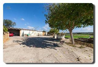 Thumbnail von Immogold Mallorca, MWS 15-064-MWOH Finca, für Pferdeliebhaber
