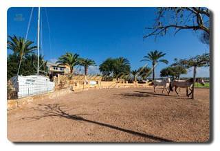 Thumbnail von Immogold Mallorca, MWS 15-064-MWOH Finca, für Pferdeliebhaber