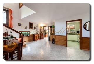 Thumbnail von Immogold Mallorca, MWS 15-064-MWOH Finca, für Pferdeliebhaber