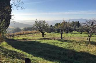 Thumbnail von renovierungsbedürftiges Rustico mit Nebengebäuden mit qualifiziertem Chianti Classico Weinberg