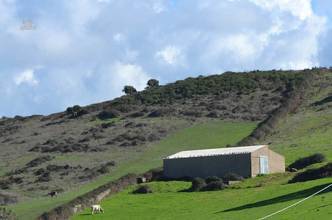 Thumbnail von ca.15 km vom Meer entferntes landwirtschaftliches Gut