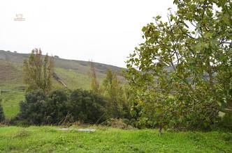 Thumbnail von ca.15 km vom Meer entferntes landwirtschaftliches Gut