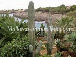 Thumbnail von RESIDENZ MIT CHARAKTER DIREKT AM MEER