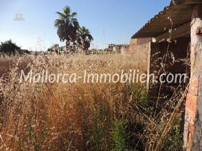 Thumbnail von TERRENO EN PUEBLO