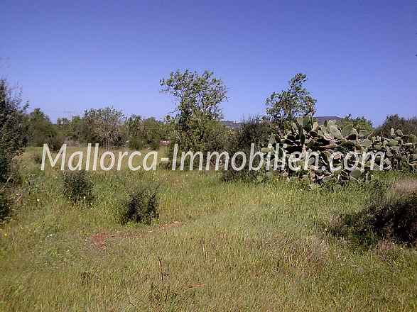 ОЧЕНЬ КРАСИВЫЙ УЧАСТОК С ШИРОКИМ ВИДОМ