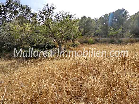 Участок в холмистой местности с видом на море