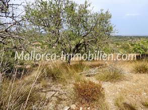 Thumbnail von DZIAŁKA NA WZNIESIENIU Z WIDOKIEM NA MORZE