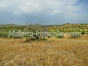 Thumbnail von DZIAŁKA NA WZNIESIENIU Z WIDOKIEM NA MORZE