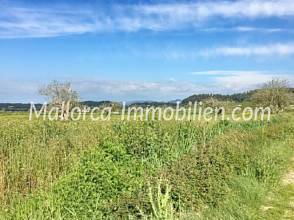 Thumbnail von GRUNDSTÜCK MIT WEITBLICK