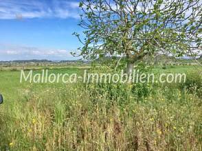 Thumbnail von GRUNDSTÜCK MIT WEITBLICK