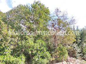 Thumbnail von GRUNDSTÜCK IN EINFAMILIENHAUS LAGE UND NAHE DEM STRAND