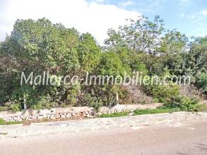 Thumbnail von GRUNDSTÜCK IN EINFAMILIENHAUS LAGE UND NAHE DEM STRAND