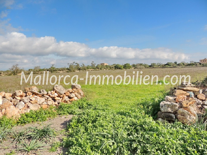 BAUGRUNDSTÜCK NAHE DEN STRÄNDEN CALA LLOMBARDS UND CALA SALMONIA