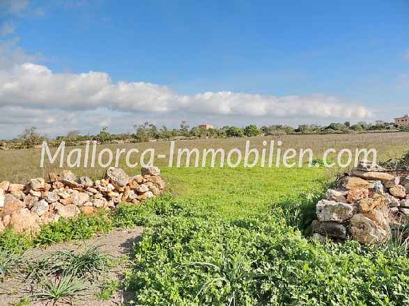 BAUGRUNDSTÜCK NAHE DEN STRÄNDEN CALA LLOMBARDS UND CALA SALMONIA