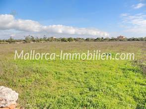 Thumbnail von BAUGRUNDSTÜCK NAHE DEN STRÄNDEN CALA LLOMBARDS UND CALA SALMONIA