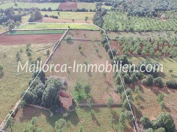 GROSSZÜGIGES GRUNDSTÜCK IN ZENTRALER LAGE