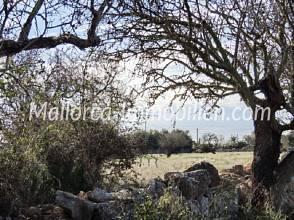 Thumbnail von GRUNDSTÜCK MIT EINMALIGEM BLICK