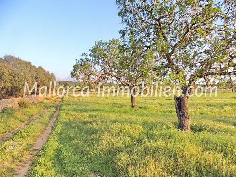 GRUNDSTÜCK MIT EINEM HERRLICHEN PANORAMABLICK
