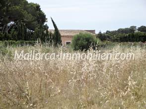 Thumbnail von GRUNDSTÜCK IM ZENTRUM NAHE DEM YACHTHAFEN CALA D'OR