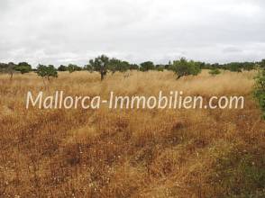 Thumbnail von WUNDERSCHÖNES GRUNDSTÜCK MIT EINEM TOLLEN BLICK ÜBER WIESEN UND FELDER