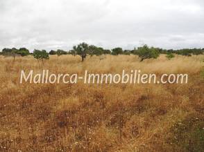 Thumbnail von WUNDERSCHÖNES GRUNDSTÜCK MIT EINEM TOLLEN BLICK ÜBER WIESEN UND FELDER