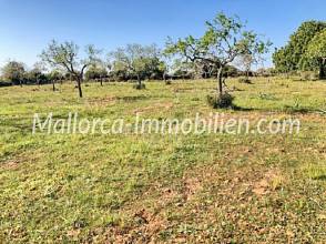 Thumbnail von BAUGRUNDSTÜCK MIT BLICK ZUM MEER