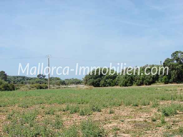 FLACHES GRUNDSTÜCK MIT PANORAMABLICK