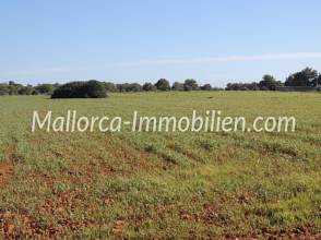 Thumbnail von GRUNDSTÜCK FÜR 1 HAUS MIT BERGBLICK