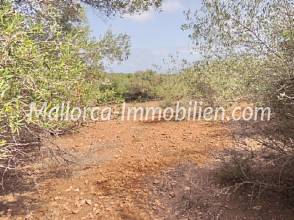 Thumbnail von BAUGRUNDSTÜCK MIT PANORAMABLICK