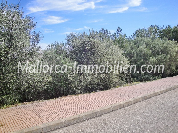 BAUGRUNDSTÜCK IN DER HAFENANLAGE VON CALA D'OR