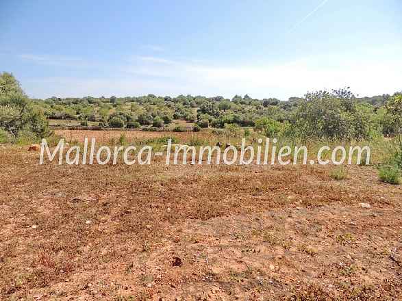 GRUNDSTÜCK MIT MEERBLICK