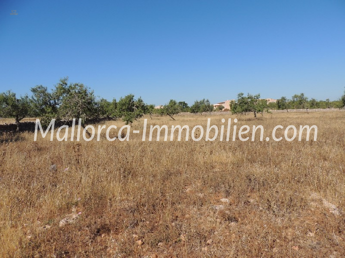 BAUGRUNDSTÜCK MIT PANORAMABLICK UND NAHE ZUM MEER
