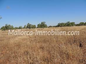 Thumbnail von BAUGRUNDSTÜCK MIT PANORAMABLICK UND NAHE ZUM MEER