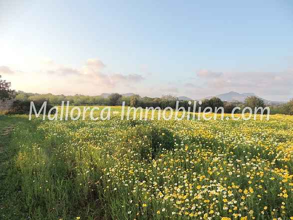 GRUNDSTÜCK MIT MEERWEITBLICK VOM 1.STOCK