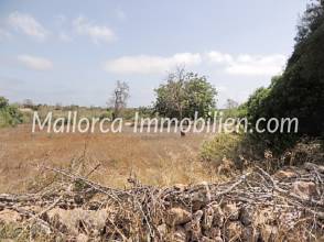 Thumbnail von BAUGRUNDSTÜCK MIT BLICK ÜBER FELDER UND WIESEN