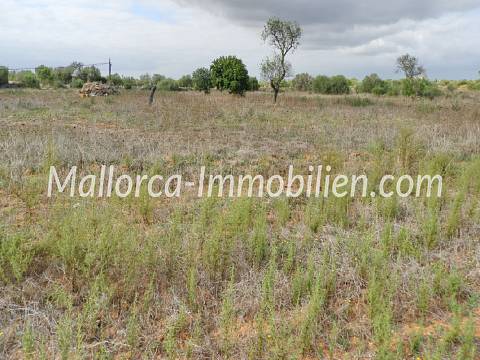 BAUGRUNDSTÜCK NAHE DEN STRÄNDEN CALA LLOMBARDS UND CALA SALMONIA