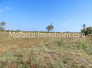 Thumbnail von BAUGRUNDSTÜCK NAHE DEN STRÄNDEN CALA LLOMBARDS UND CALA SALMONIA