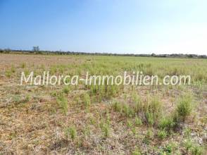 Thumbnail von BAUGRUNDSTÜCK NAHE DEN STRÄNDEN CALA LLOMBARDS UND CALA SALMONIA