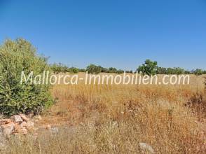 Thumbnail von EBENES GRUNDSTÜCK MIT BAUMBESTAND UND PANORAMABLICK