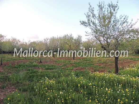 GRUNDSTÜCK MIT MEERWEITBLICK