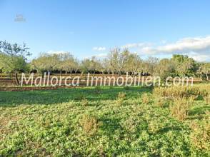 Thumbnail von GRUNDSTÜCK MIT MEERWEITBLICK