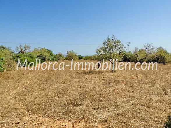 GUT GESCHNITTENES GRUNDSTÜCK MIT MEERBLICK