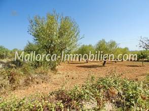 Thumbnail von GUT GESCHNITTENES GRUNDSTÜCK MIT MEERBLICK