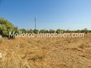 Thumbnail von GRUNDSTÜCK MIT MEERWEITBLICK