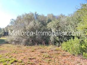 Thumbnail von GRUNDSTÜCK FÜR 3 HÄUSER NAHE DEM STRAND