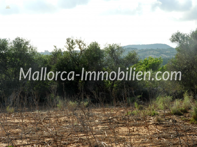 GRUNDSTÜCK IN EXPONIERTER LAGE MIT TRAUMHAFTEM MEERBLICK