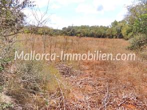 Thumbnail von EINMALIGES GRUNDSTÜCK MIT ROMANTISCH GELEGENER FINCA ZUM RENOVIEREN