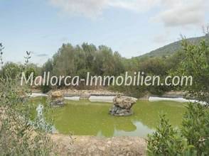 Thumbnail von WEITLÄUFIGES GRUNDSTÜCK MIT STEINHAUS - TEILWEISE BLICK BIS ALCUDIA