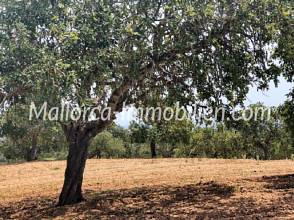 Thumbnail von EXCLUSIVES GRUNDSTÜCK MIT EINMALIGEM MEERBLICK IN EXPONIERTER LAGE