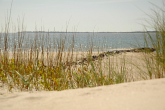 Thumbnail von Kapitalanlage 006 Oldsum - Baugrundstück